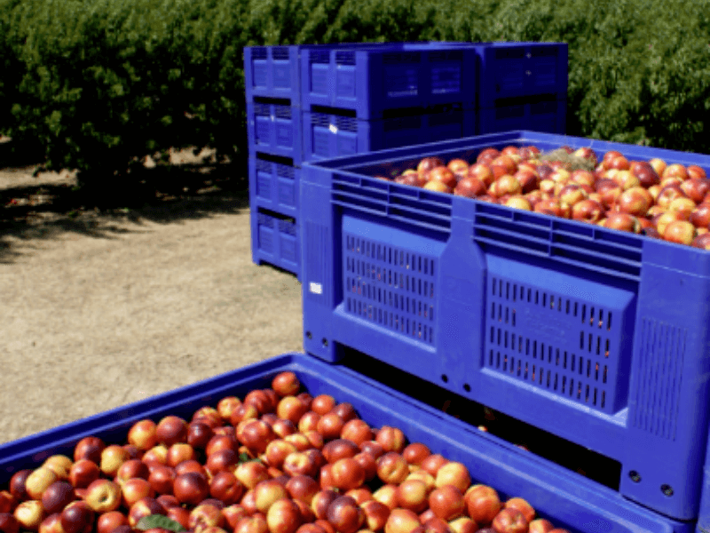bulk plastic bins4