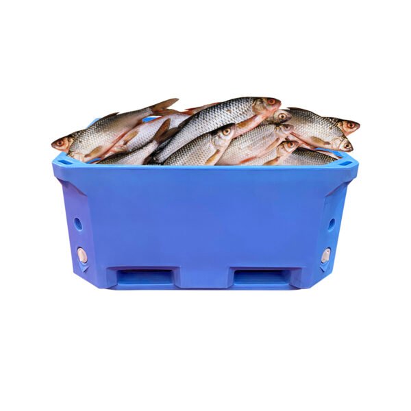 Insulated Bulk Container for Fisheries and Aquaculture - Imagen 4