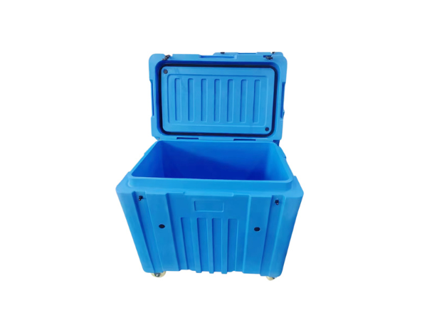 dry ice container