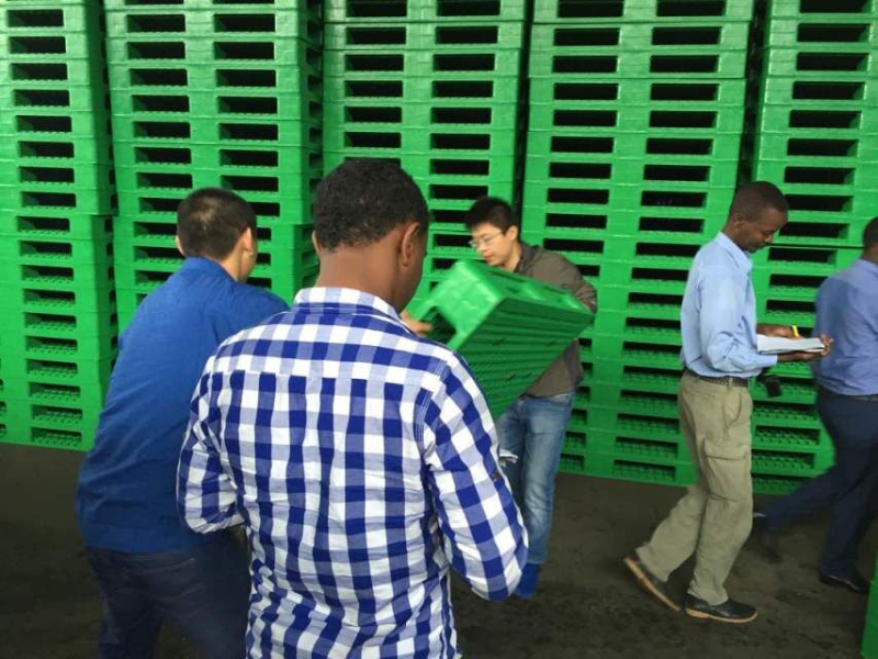 dashen beer ethiopia beverage pallet